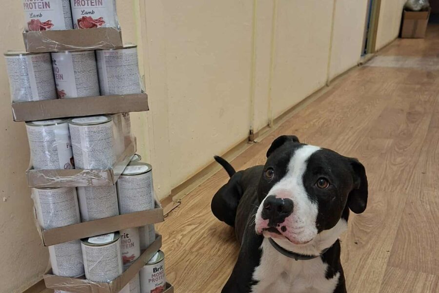 Langyos, obdarovaný