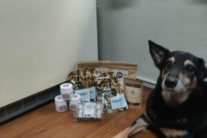 Velký projekt – doplňky pro pejsky, splněno