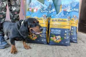 Mr. Sausage, obdarovaný