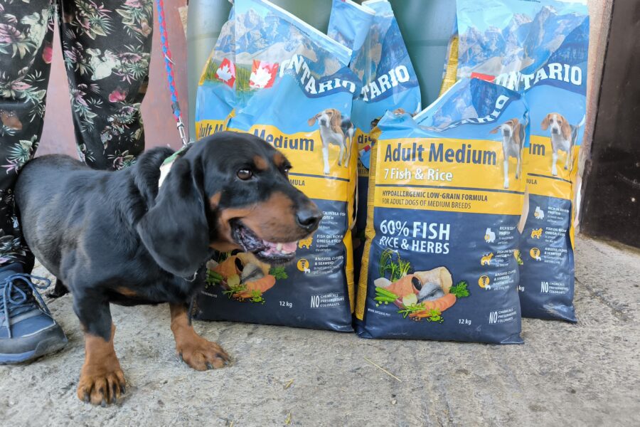 Mr. Sausage, obdarovaný