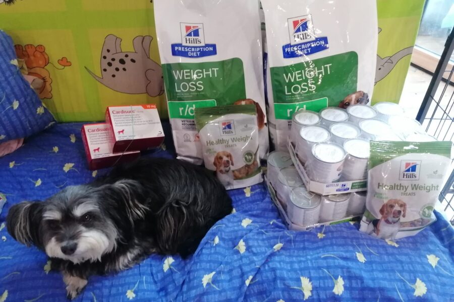 Kubíčková, obdarovaná