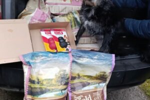 Kačenka, obdarovaná