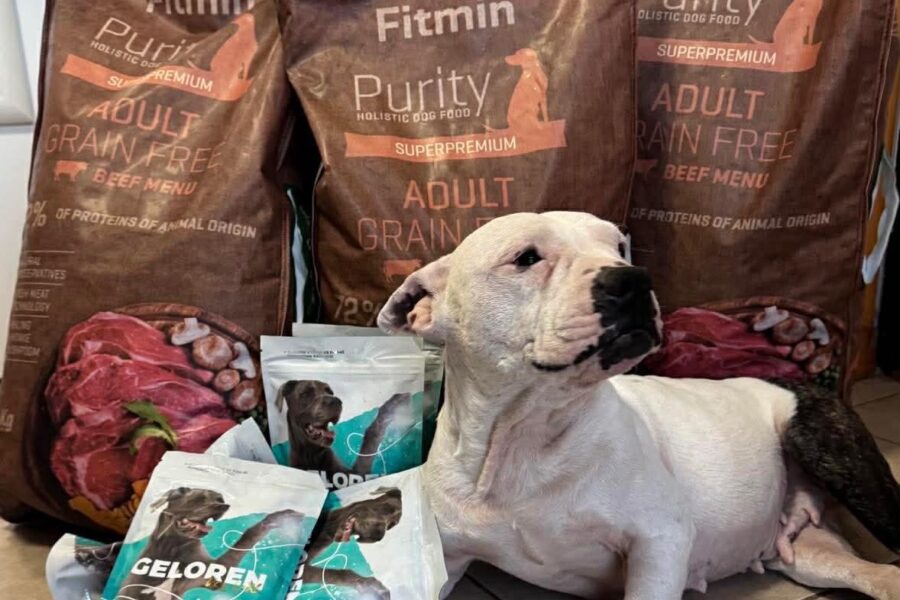 Mandlička, obdarovaná