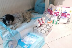 Adélka, obdarovaná