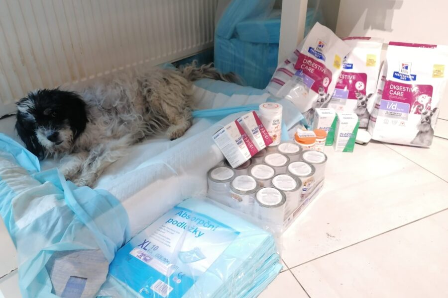 Adélka, obdarovaná