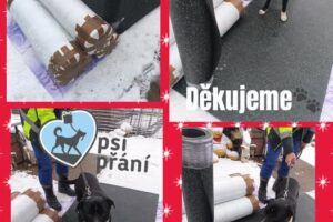 Velký projekt – izolační guma do kotců na zimu, splněno