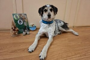 Malcolm, obdarovaný