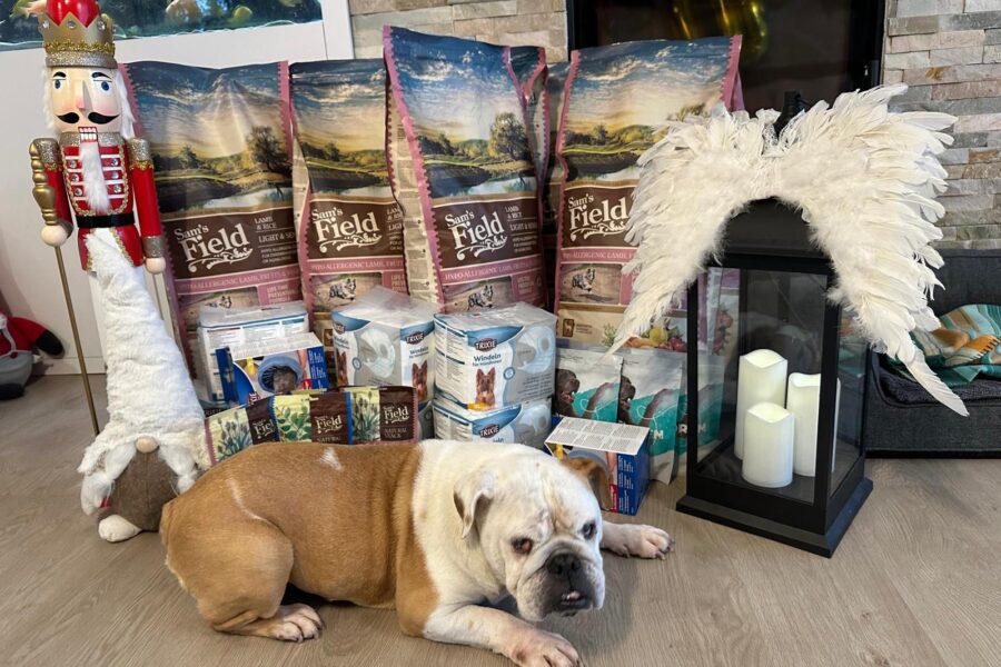 Stellinka, obdarovaná