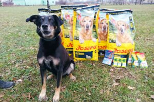 Píďa, našel domov