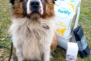 Hermiona, obdarovaná