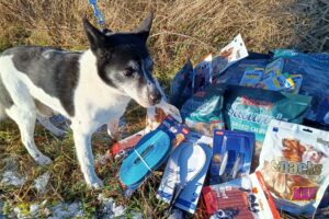 Piškot, obdarovaný