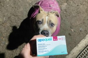 Bobinka, obdarovaná