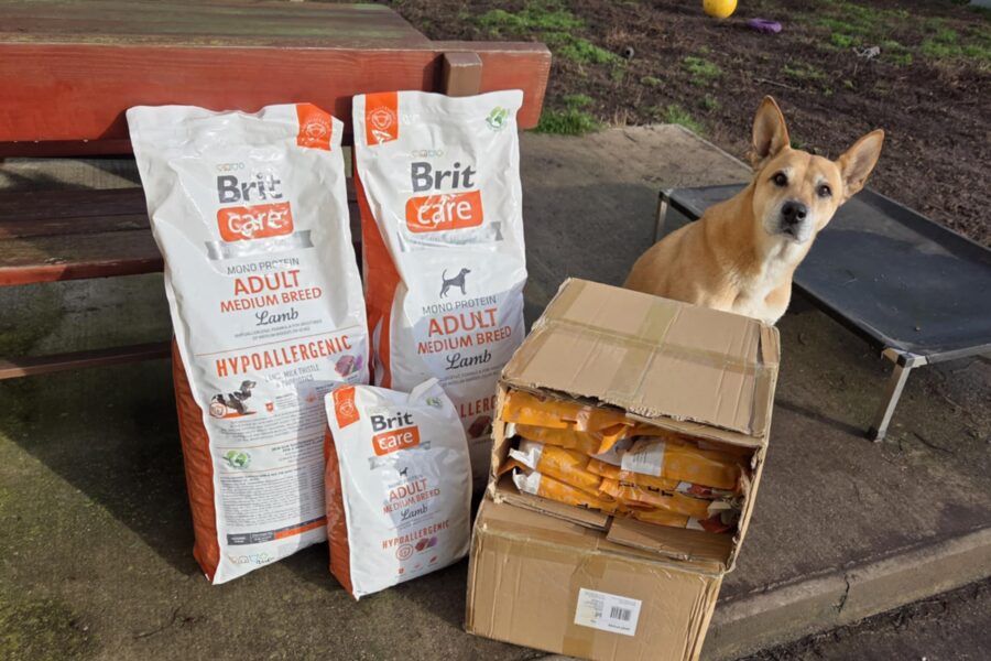 Mia – našla domov