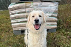 Sebastien, obdarovaný