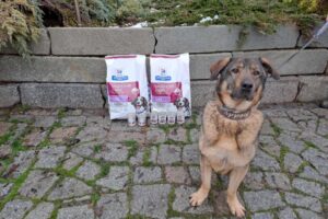 Šediváček, obdarovaný