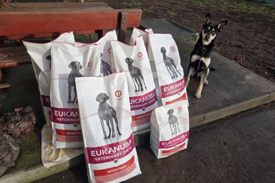 Kukíno, obdarováno