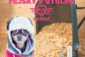 Velký projekt – hobliny