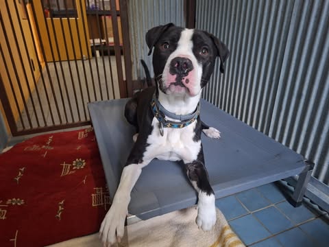 Velký projekt – ortopedická lehátka