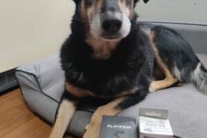 Velký projekt – germicidní lampa