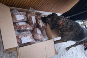 Caroline, obdarovaná