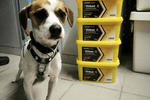Velký projekt – Vircon
