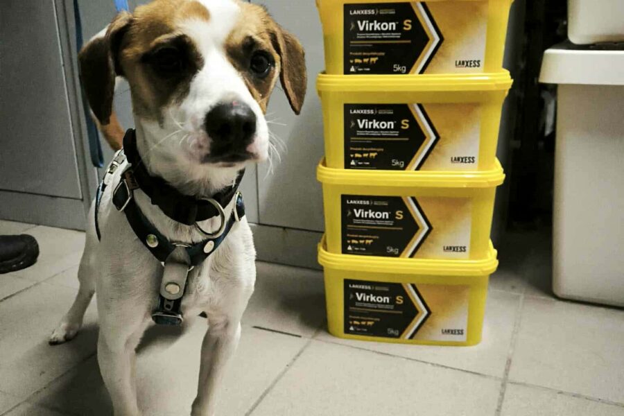 Velký projekt – Vircon