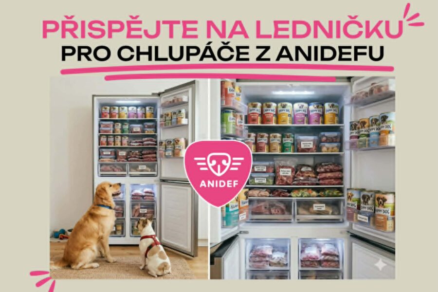 Velký projekt – lednička
