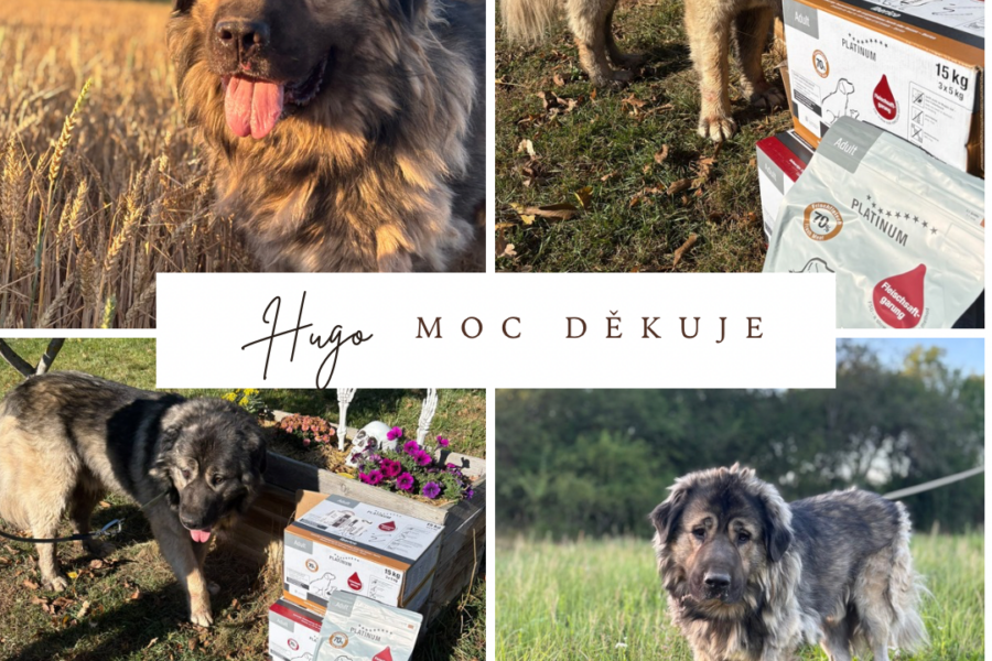 Hugo