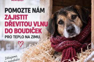 Velký projekt – Žim – dřevitá vlna